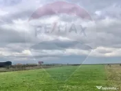 COMISION 0% | Teren intravilan | 3545 MP | Oportunitate d... 