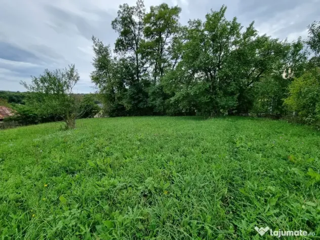 Teren intravilan 8.669mp | View panoramic munți | Bughea de Sus, Argeș