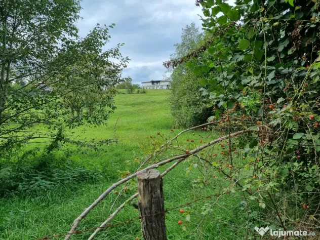 Teren intravilan 8.669mp | View panoramic munți | Bughea de Sus, Argeș