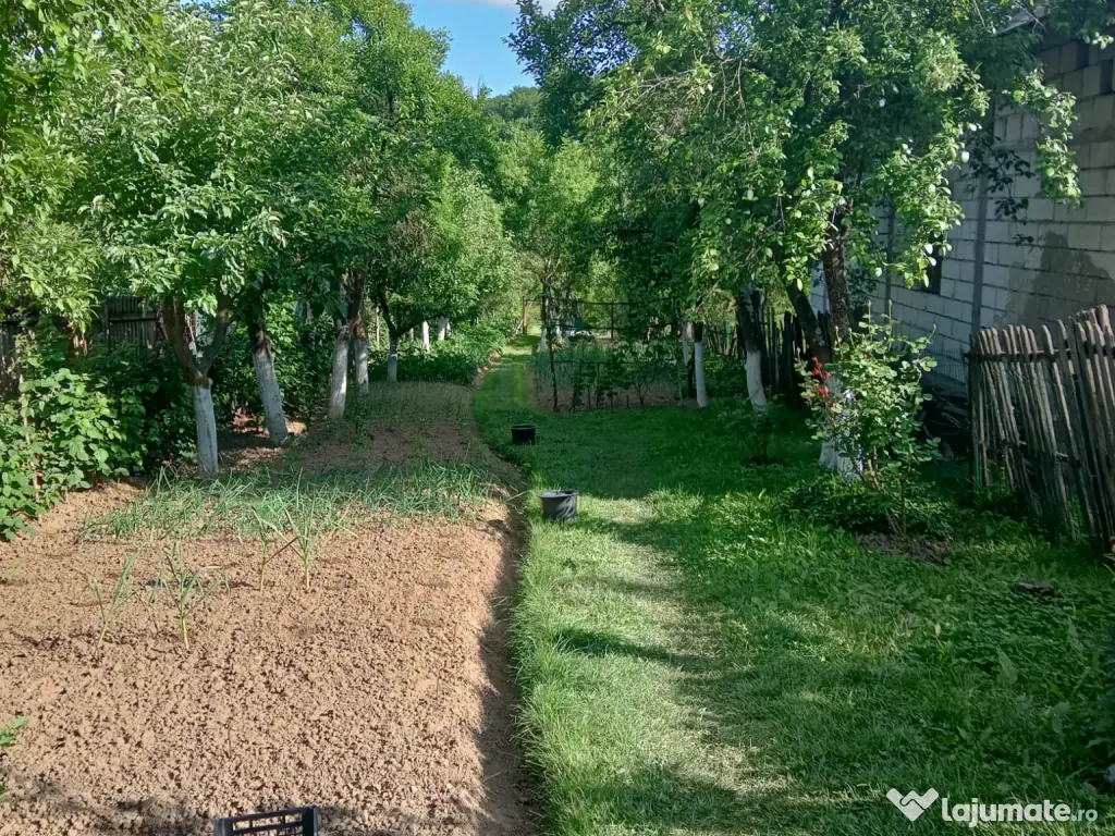 Teren+Rulota Comuna Babana