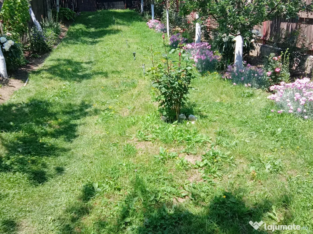 Teren+Rulota Comuna Babana