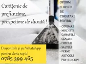 Curatare Canapele si Covoare la Domiciliu 