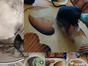 Curatare Canapele si Covoare la Domiciliu 