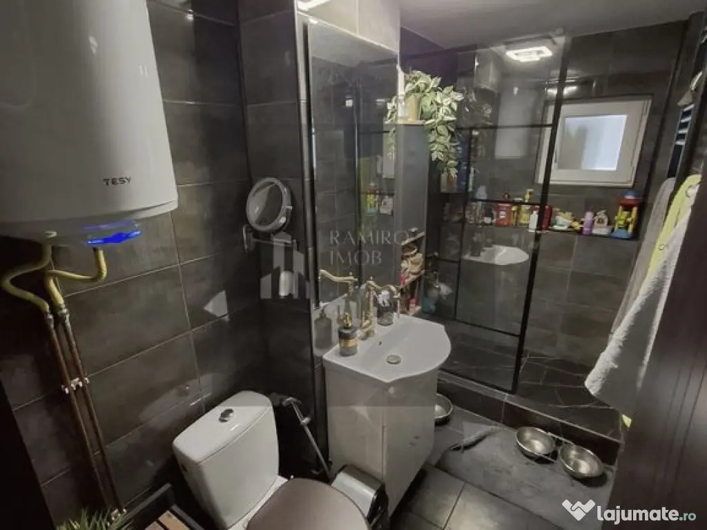 Apartament 2 camere Camil Ressu