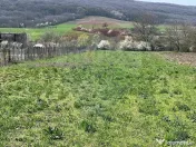 Teren 4,486mp Iordacheanu / Strada Principala 