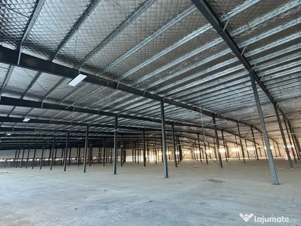 Spatiu depozitare | Industrial | Camera Frig | Afumati | Tir