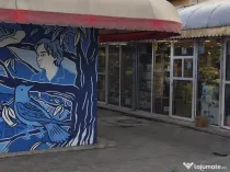 Magazin de vânzare zona centrala