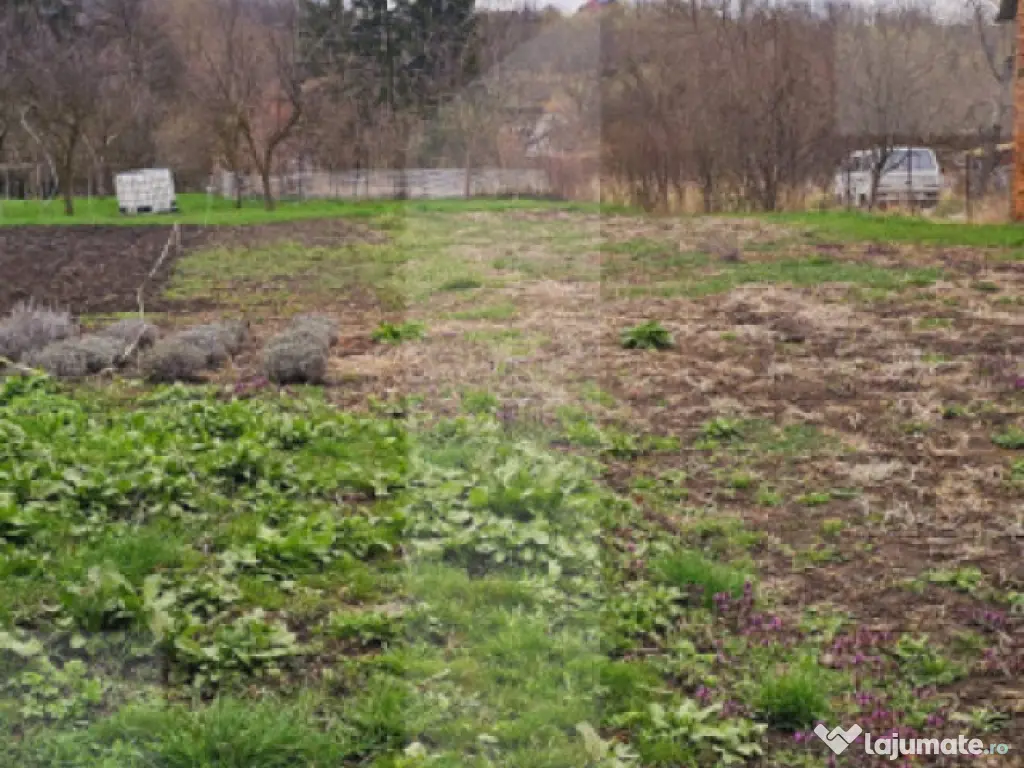 Teren intravilan/Gradina in Sancraiu (Sfantu Gheorghe)