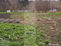 Teren intravilan/Gradina in Sancraiu (Sfantu Gheorghe)