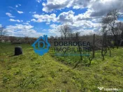 MIHAIL KOGALNICEANU-CASA BATRANEASCA ,TEREN 1975 MP 