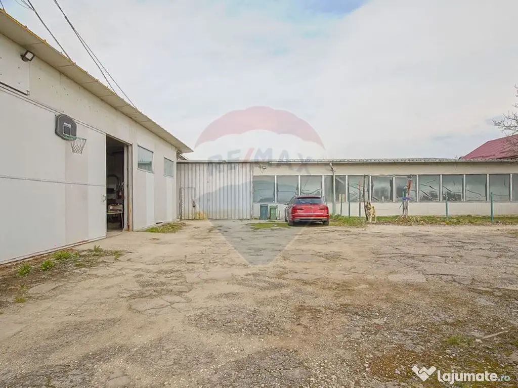 Comision 0 | Dezvoltare sau business: hale + teren 5.924 mp