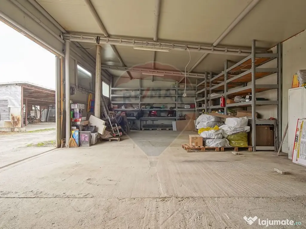 Comision 0 | Dezvoltare sau business: hale + teren 5.924 mp