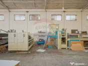 Comision 0 | Dezvoltare sau business: hale + teren 5.924 mp 