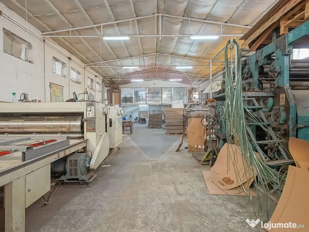 Comision 0 | Dezvoltare sau business: hale + teren 5.924 mp