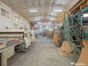 Comision 0 | Dezvoltare sau business: hale + teren 5.924 mp 