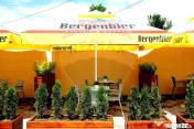 Spălătorie Auto, Vulcanizare și Restaurant | COMISION 0 % 