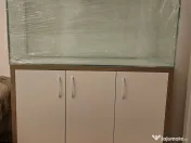 Acvariu pentru pesti