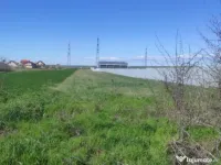 Teren extravilan 5000 mp, Albesti