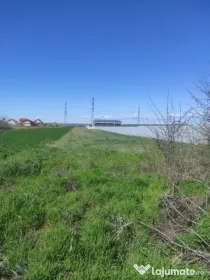 Teren extravilan 5000 mp, Albesti