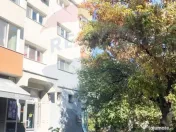 Apartament 2 camere de inchiriat Aviatiei / Smaranda Braescu 