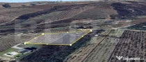 Teren Vanzare Plopu(GALMEIA)Oportunitate Investitie-DEZVOLTA