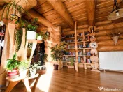 Casa din busteni cu ferma zootehnica si afacere (Tengheler, 