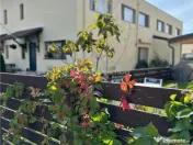 Casa moderna - Green City - 4 camere - 3 bai - 120mp - 120mp 