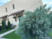 Casa moderna - Green City - 4 camere - 3 bai - 120mp - 120mp 