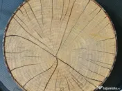 2 tăvi din lemn Ikea, pictate manual