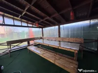 Masa și bănci de grădină 