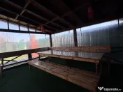 Masa și bănci de grădină 