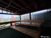 Masa și bănci de grădină 