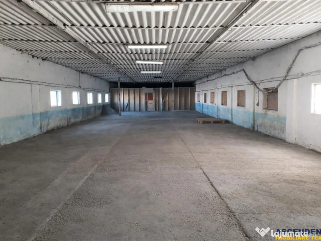 Hala industriala versatila,spatii cazare, platforma betonata