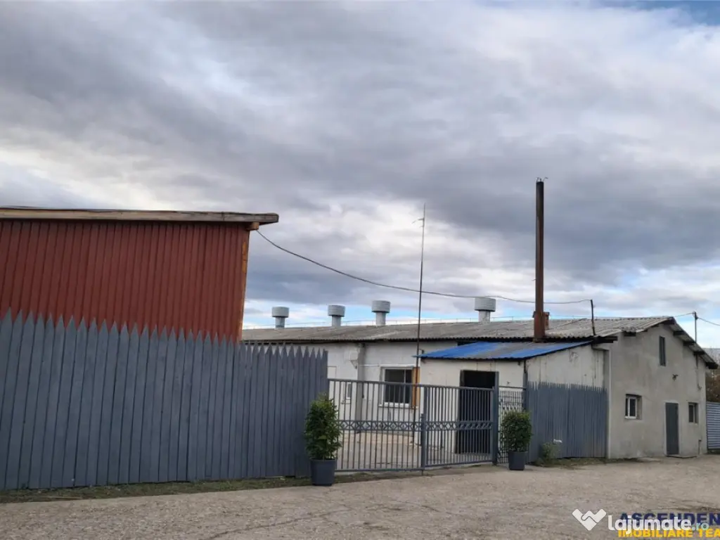 Hala industriala versatila,spatii cazare, platforma betonata