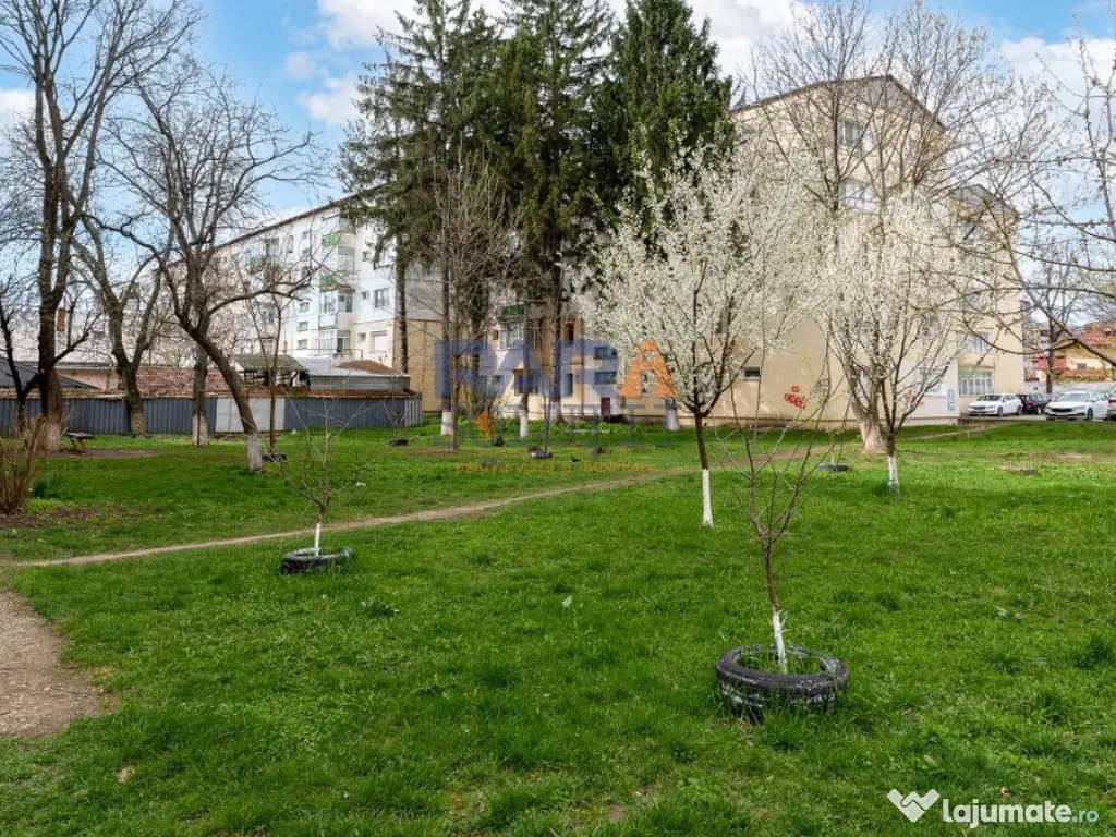 Apartament 3 camere, două băi - Str. Bogdan Dragoș