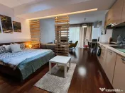 Garsoniera InCity Residence- Dristor- Vitan Mall 