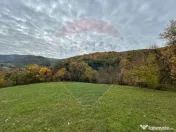 Teren 2,000mp Copalnic-Manastur / Strada Principala 