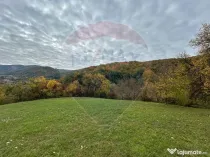 Teren 2,000mp Copalnic-Manastur / Strada Principala