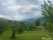 Teren 2,000mp Copalnic-Manastur / Strada Principala 