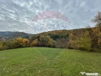 Teren 2,000mp Copalnic-Manastur / Strada Principala