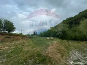 Teren 2,000mp Copalnic-Manastur / Strada Principala 