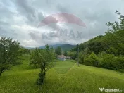 Teren 2,000mp Copalnic-Manastur / Strada Principala 