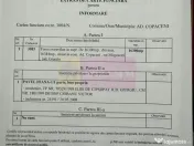 Teren 16.300 mp Mogoșești | ideal investiție și parce... 