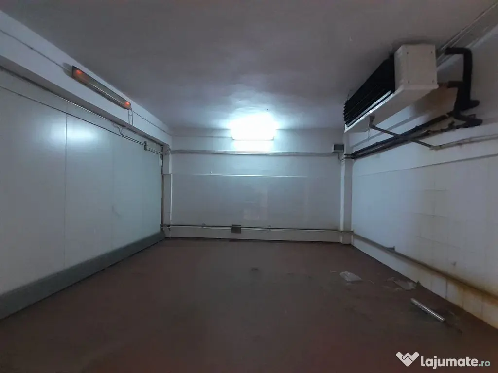 Hala 343 mp ideala industria alimentara, depozitare