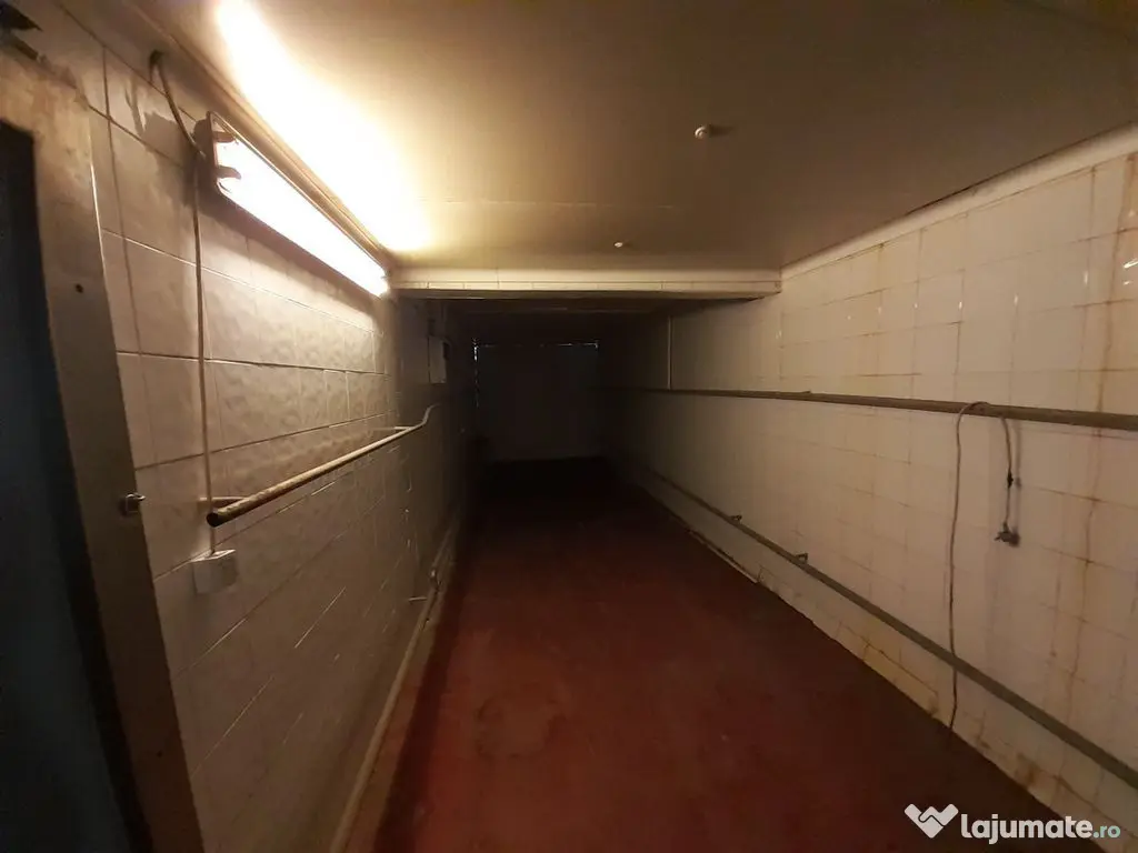 Hala 343 mp ideala industria alimentara, depozitare