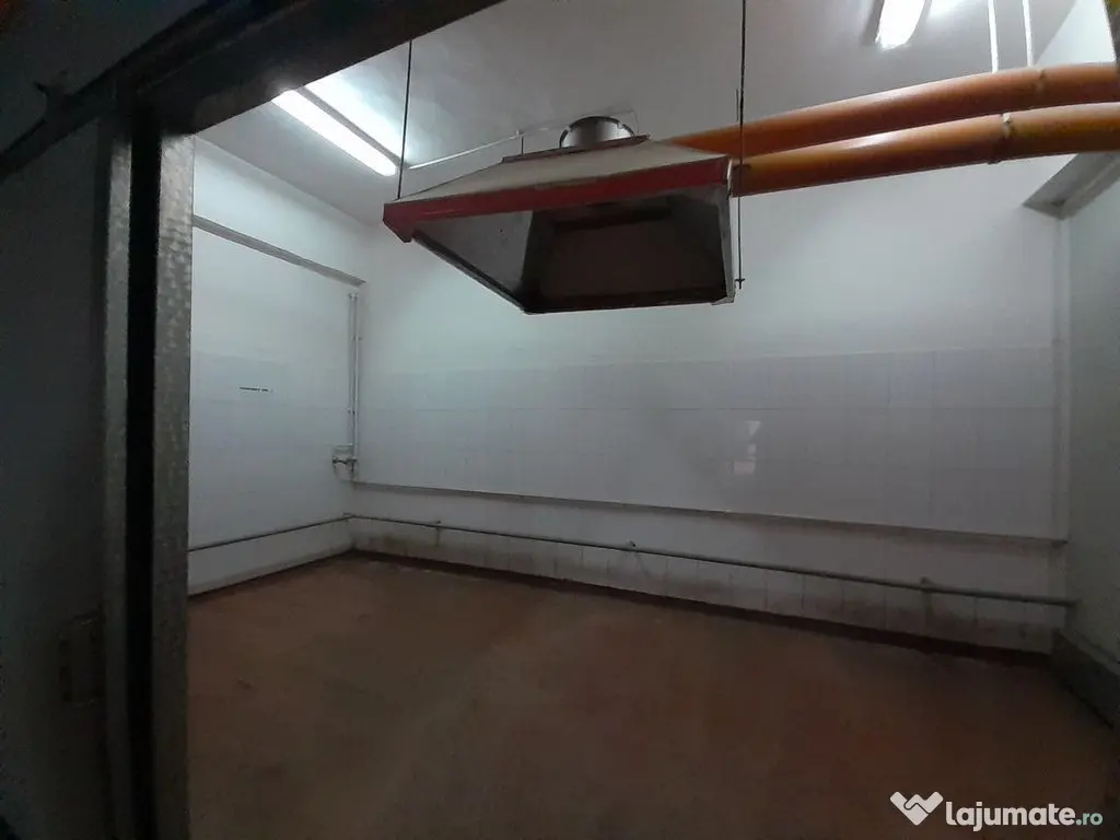 Hala 343 mp ideala industria alimentara, depozitare