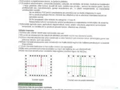 Oportunitate Investiție: Teren 4.037 mp, Ghiroda – Poten? 