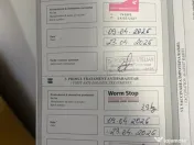 Pui Ciobanesc German 