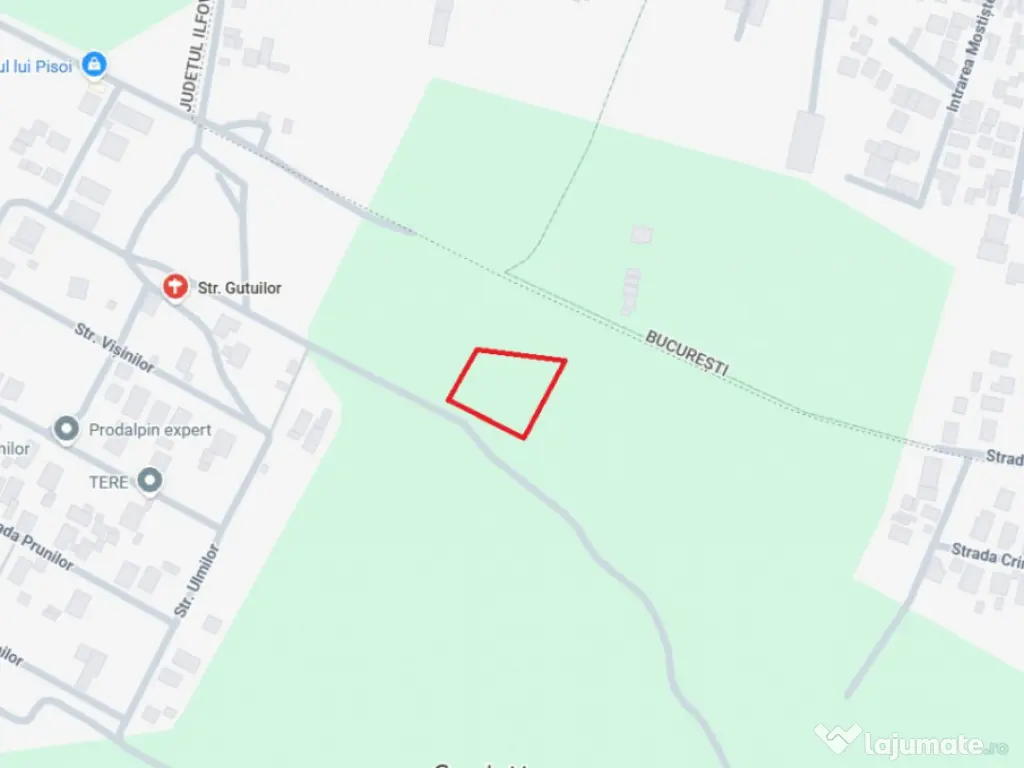 MAGURELE, LOT 1.288 MP!