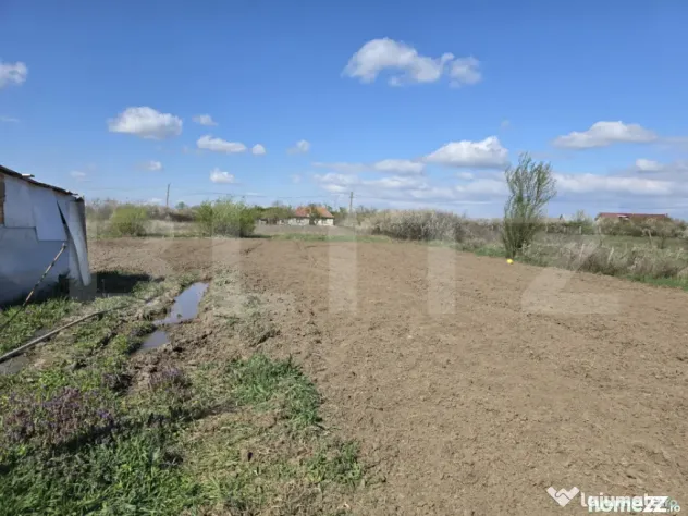 Teren intravilan de vanzare, 2000 mp, zona Lucian Blaga-Satu - Satu Mare (Satu-Mare)
